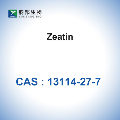 مسحوق المواد الخام للمضادات الحيوية Zeatin CAS 13114-27-7 C10H13N5O
