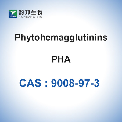 PHA Phytohemagglutinin-M Phaseolus Vulgaris CAS 9008-97-3 مسحوق مجفف بالتجميد