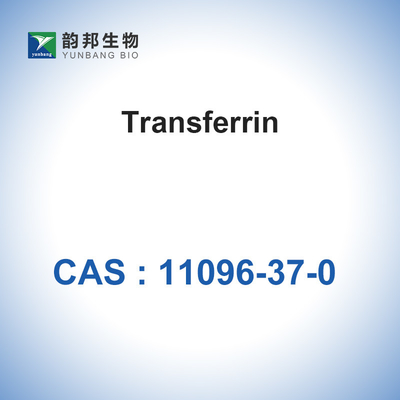 إنزيمات المحفزات البيولوجية CAS 11096-37-0 / Human Holo Transferrin