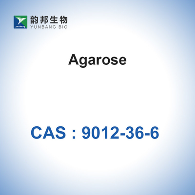 CAS 9012-36-6 Agarose Biochemical Glycoside BioReagent