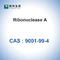 RNase A Ribonuclease A من البنكرياس البقري البيولوجي CAS 9001-99-4