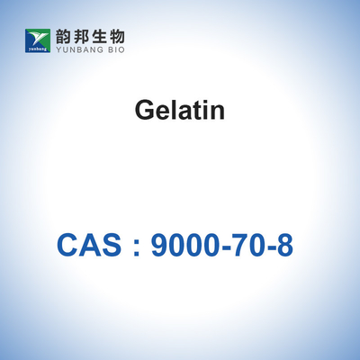 مسحوق الجيلاتين Teleostean إسفنجي جيلاتين قابل للامتصاص CAS 9000-70-8
