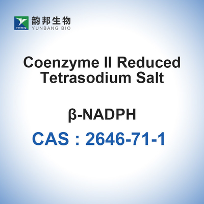 مسحوق ملح NADPH رباعي الصوديوم CAS 2646-71-1 2-8 درجة مئوية التخزين