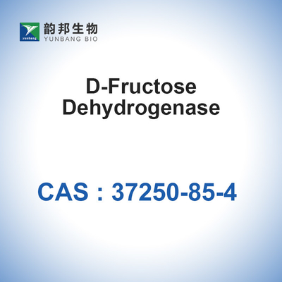 CAS 37250-85-4 D- الفركتوز ديهيدروجينيز 20u / ملغ إنزيمات المحفزات البيولوجية