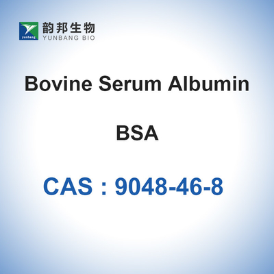 مسحوق الزلال المصل البقري CAS 9048-46-8 كاشف كيميائي حيوي BSA مسحوق مجفف بالتجميد