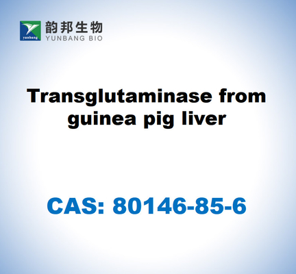 CAS 80146-85-6 ترانسغلوتاميناز من كبد خنزير غينيا