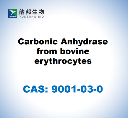 CAS 9001-03-0 أنهيدراز الكربون من الخلايا الحمراء البقرية