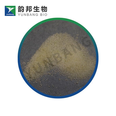 CAS 732-26-3  2,4,6-Tri-tert-butylphenol biochemical reagent for labs