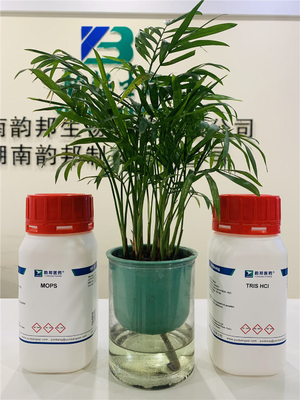 CAS 71119-22-7 MOPS عازلة ملح الصوديوم Bioreagent 3- (N-Morpholino) حمض البروبان سلفونيك ملح الصوديوم