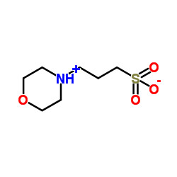 1132-61-2 MOPS 3-Morpholinopropanesulfonic Acid حمض المورفولين بروبانيسولفونيك
