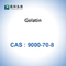 مسحوق الجيلاتين Teleostean إسفنجي جيلاتين قابل للامتصاص CAS 9000-70-8
