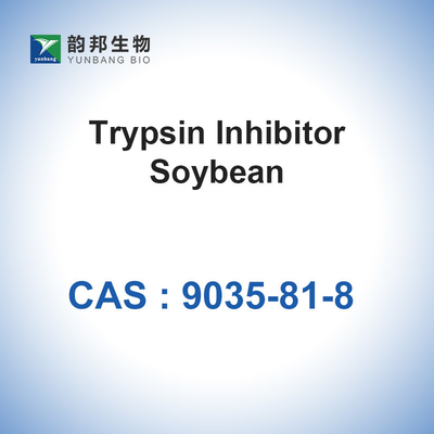 CAS 9035-81-8 المحفزات البيولوجية إنزيمات ليما فول التربسين المانع