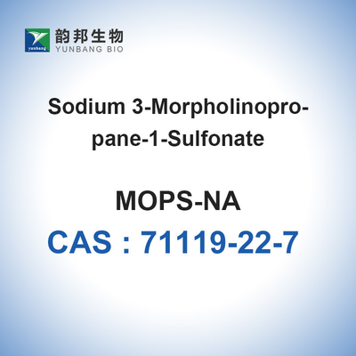 CAS 71119-22-7 MOPS عازلة ملح الصوديوم Bioreagent 3- (N-Morpholino) حمض البروبان سلفونيك ملح الصوديوم