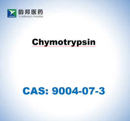 α-Chymotrypsin 9004-07-3 من البنكرياس البقري USP Grade ((1500u/Mg)