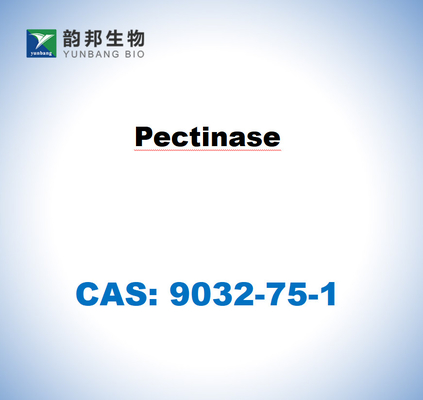 CAS 9032-75-1 البكتيناز من Aspergillus niger