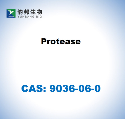 CAS 9036-06-0 البروتياز من ستريبوتوميسيس غريسيوس