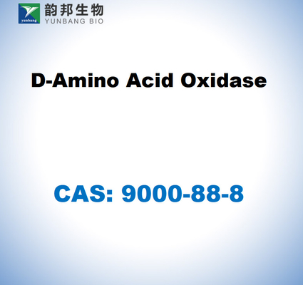 CAS 9000-88-8 أكسدة D-Amino Acid Oxidase من كلى الخنازير