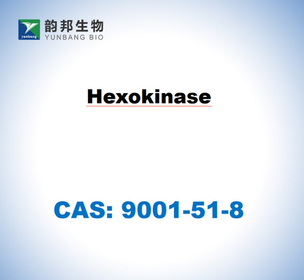 CAS 9001-51-8 هيكسوكيناز من Saccharomyces cerevisiae