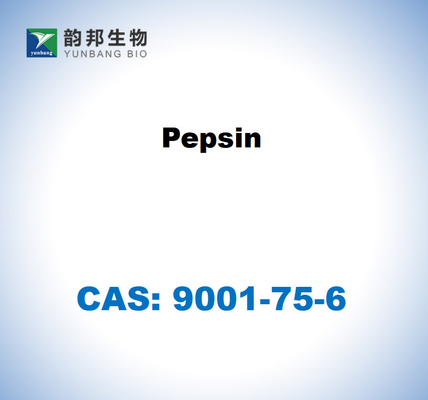 CAS 9001-75-6 بيبسين من الغشاء المخاطي المعدني للخنازير
