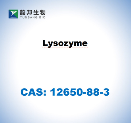 CAS 12650-88-3 الليزوزيم من بياض بيض الدجاج