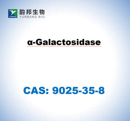 CAS 9025-35-8 A-Galactosidase من Aspergillus Niger