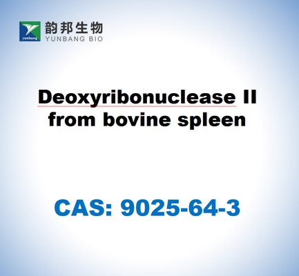 CAS 9025-64-3 ديزوكسيريبونوكلياز II من طحال البقر