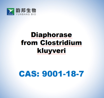 CAS 9001-18-7 الديافوراز من Clostridium kluyveri