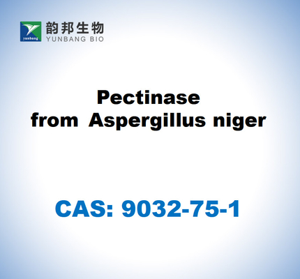 CAS 9032-75-1 البكتيناز من Aspergillus niger