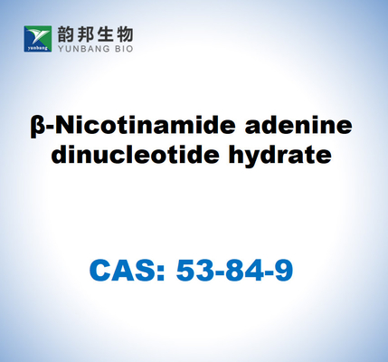 CAS 53-84-9 ب-نيكوتيناميد أدينين دينوكليوتيد هيدرات