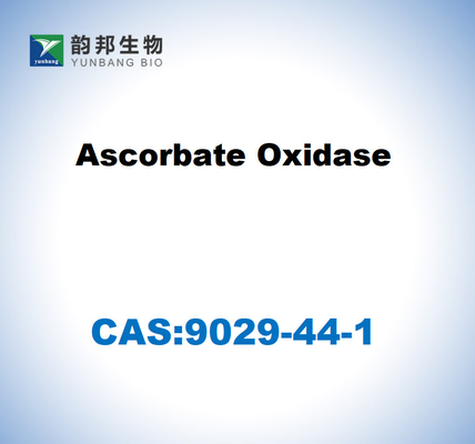 CAS 9029-44-1 أكسدة الأسكوربات