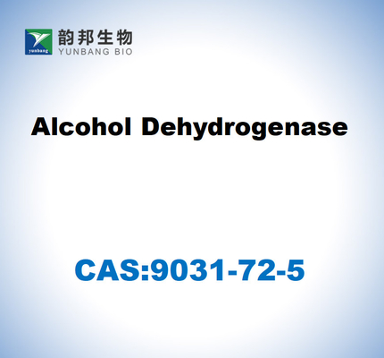 CAS 9031-72-5 الهيدروجيناز الكحولية