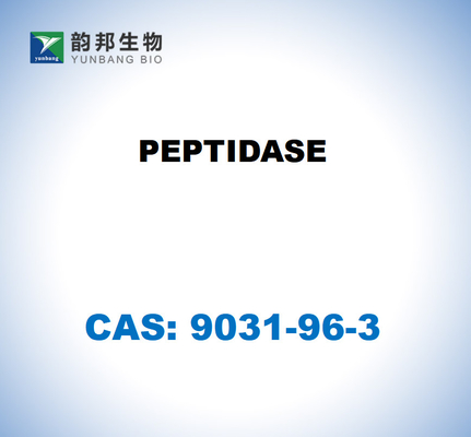 CAS 9031-96-3 الببتيداز