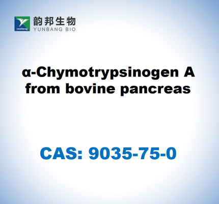 CAS 9035-75-0 α-Chymotrypsinogen A من البنكرياس البقري