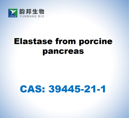 CAS 39445-21-1 إيلاستاز من البنكرياس الخنزير