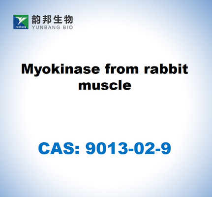 CAS 9013-02-9 ميوكيناز من عضلة الأرنب