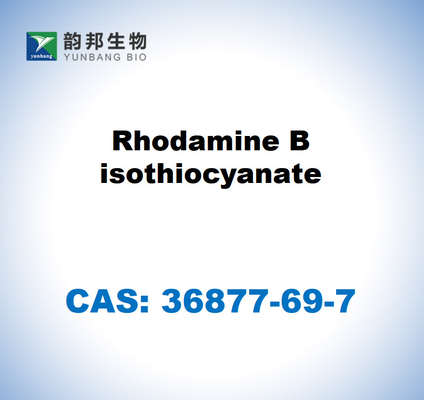 CAS 36877-69-7 رودامين B Isothiocyanate المفاعل المختبري