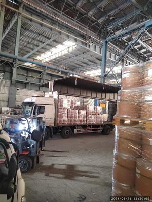 CAS 83-88-5 مصنع المفاعلات البيولوجية لـ Riboflavin