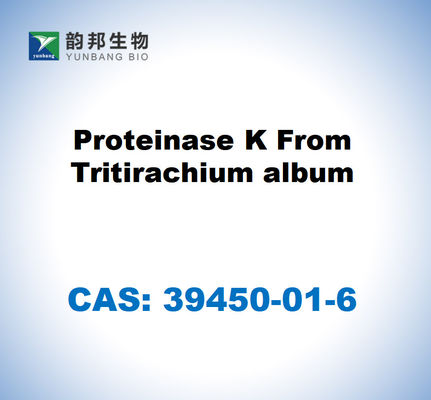 CAS 39450-01-6 البروتيناز K من ألبوم Tritirachium